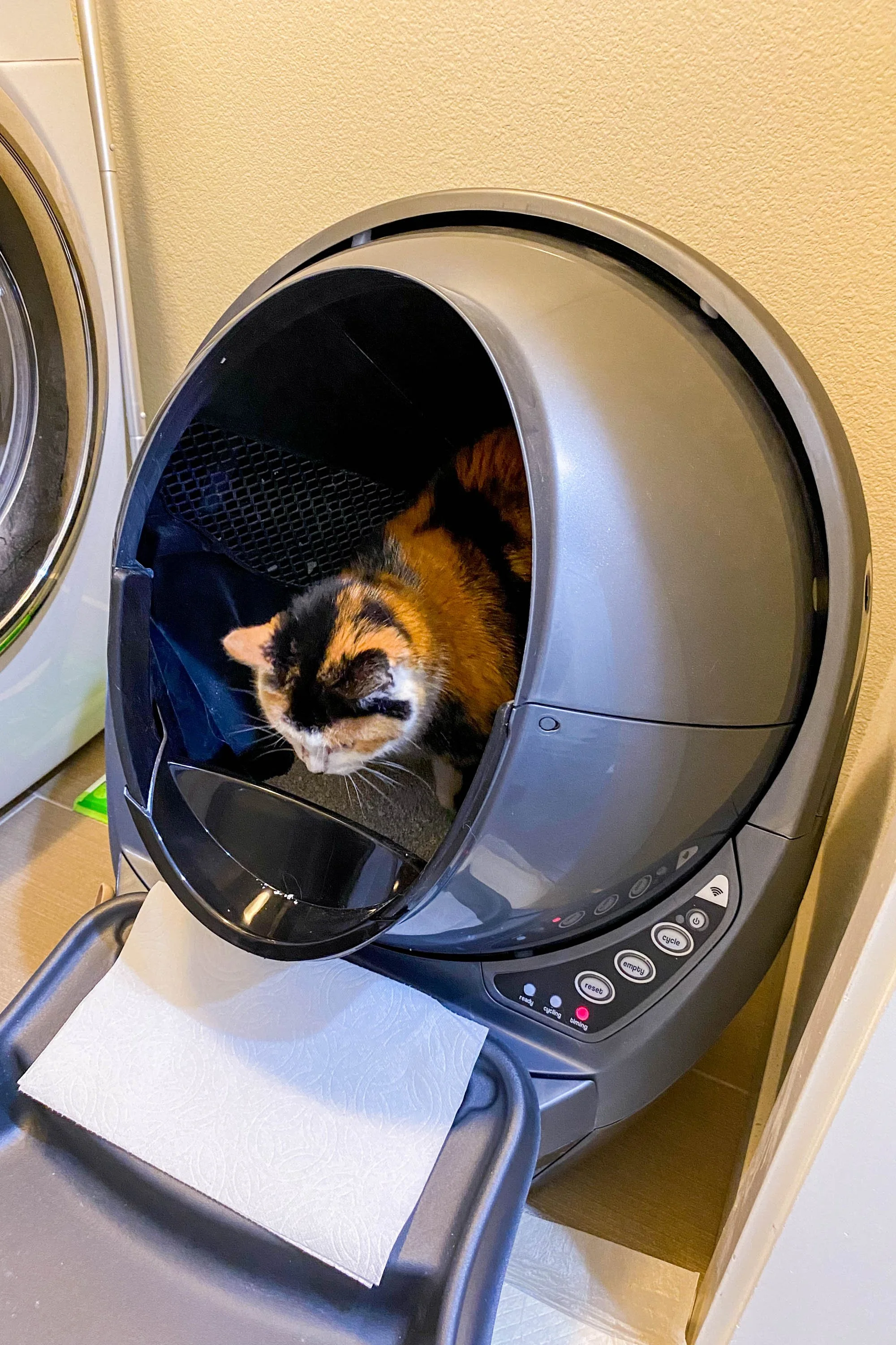 Litter Robot 3 Connect Review (2022) 6 Months with 2 Senior Cats